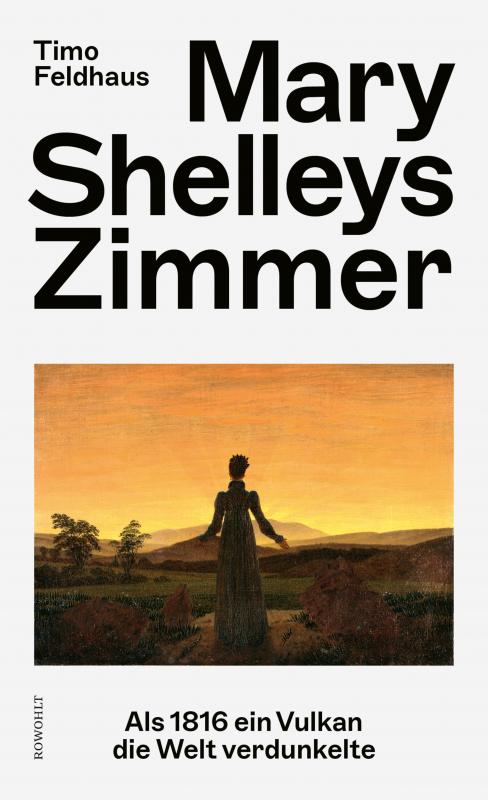 Cover-Bild Mary Shelleys Zimmer