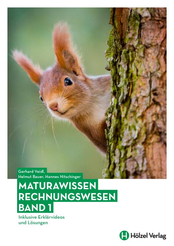 Cover-Bild Maturawissen / Rechnungswesen Band 1