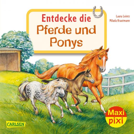 Cover-Bild Maxi Pixi 342: Entdecke die Pferde und Ponys