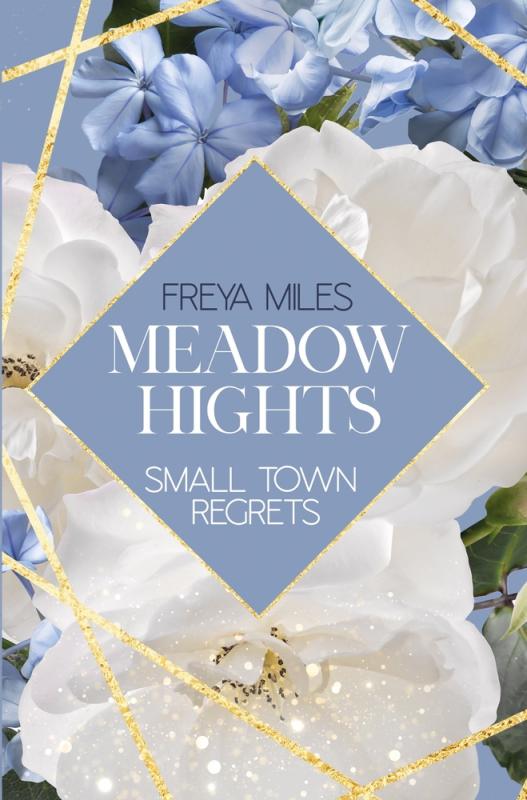 Cover-Bild Meadow Hights: Small Town Regrets