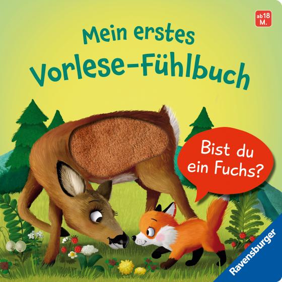 Cover-Bild Mein erstes Vorlese-Fühlbuch: Bist du ein Fuchs?