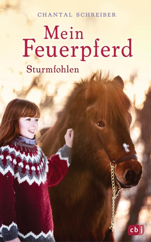 Cover-Bild Mein Feuerpferd - Sturmfohlen