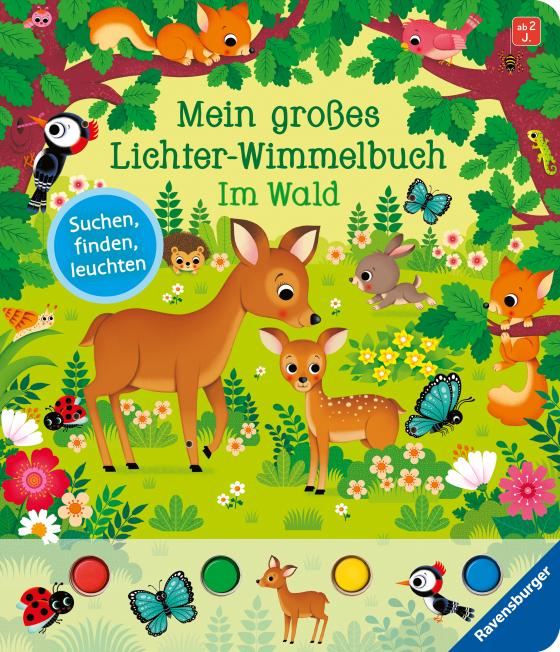Cover-Bild Mein großes Lichter-Wimmelbuch: Im Wald