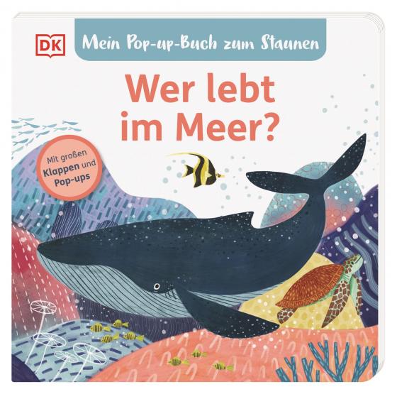 Cover-Bild Mein Pop-up-Buch zum Staunen. Wer lebt im Meer?