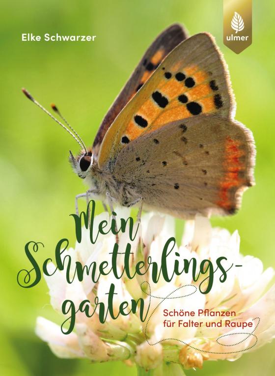 Cover-Bild Mein Schmetterlingsgarten