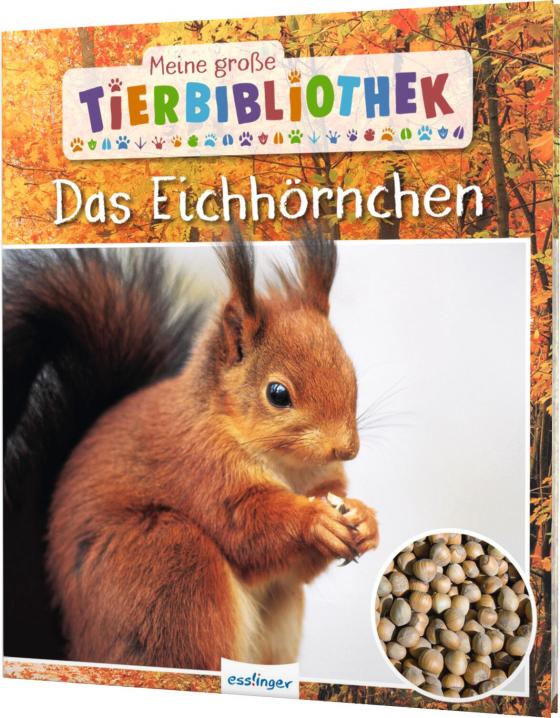Cover-Bild Meine große Tierbibliothek: Das Eichhörnchen