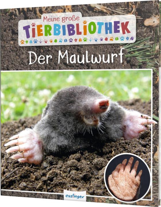 Cover-Bild Meine große Tierbibliothek: Der Maulwurf