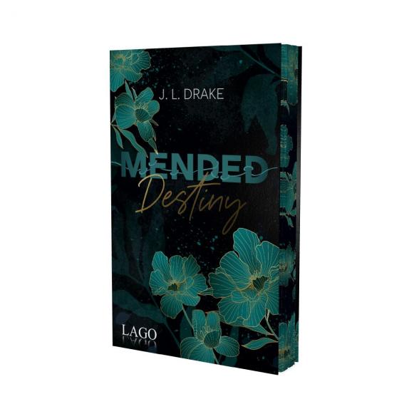 Cover-Bild Mended Destiny