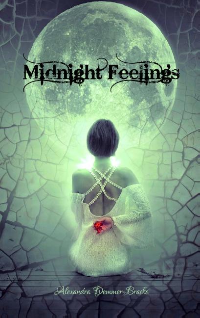 Cover-Bild Midnight Feelings