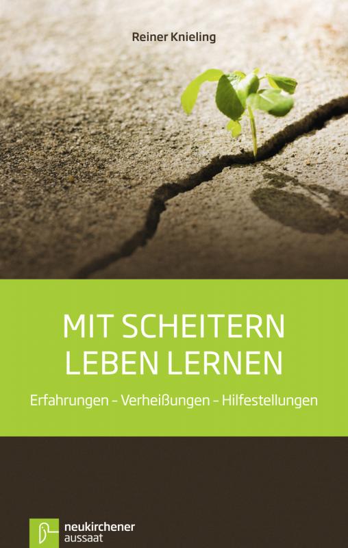 Cover-Bild Mit Scheitern leben lernen