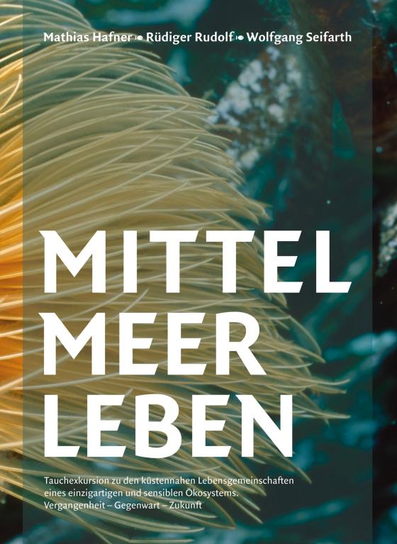 Cover-Bild Mittelmeerleben
