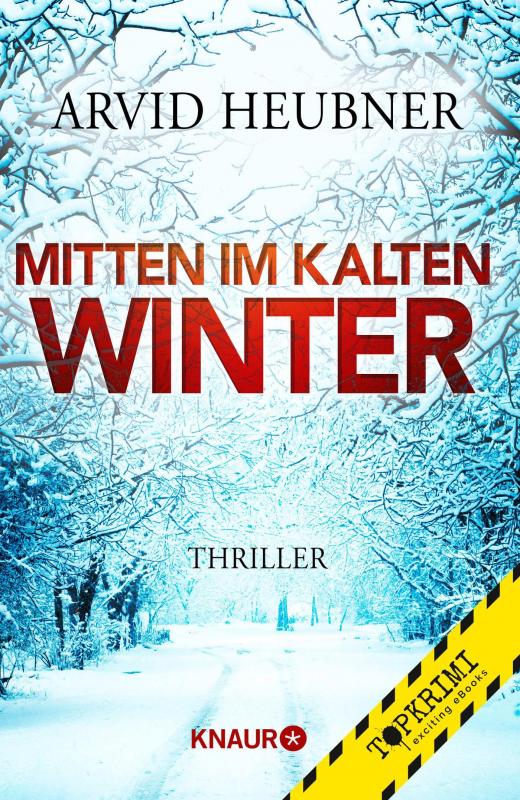 Cover-Bild Mitten im kalten Winter