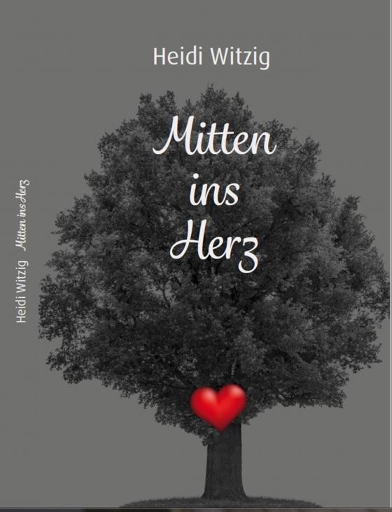 Cover-Bild Mitten ins Herz