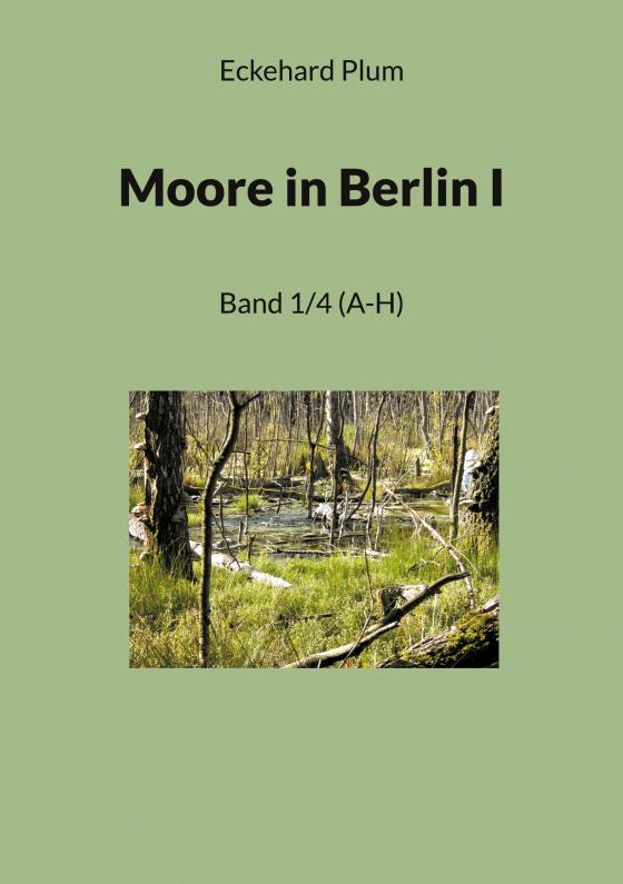 Cover-Bild Moore in Berlin I