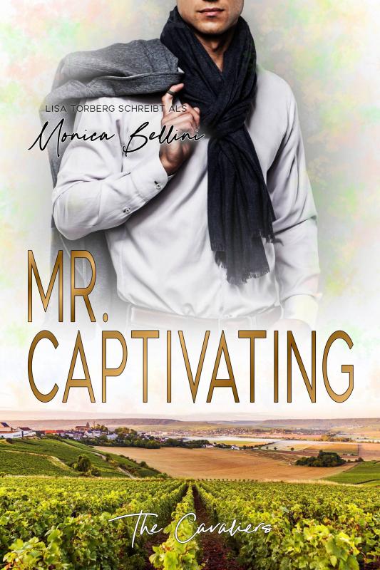 Cover-Bild Mr. Captivating