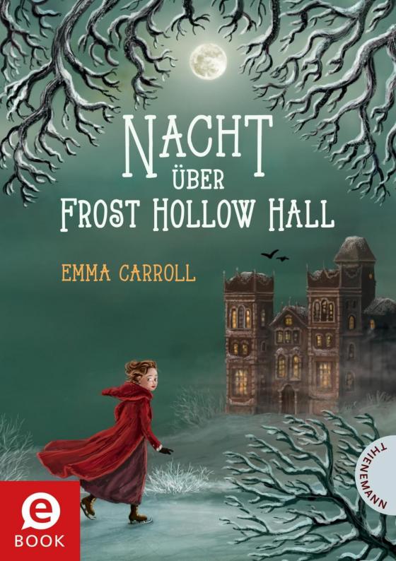 Cover-Bild Nacht über Frost Hollow Hall