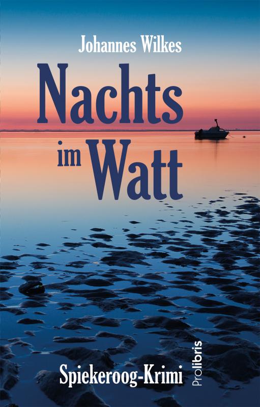 Cover-Bild Nachts im Watt