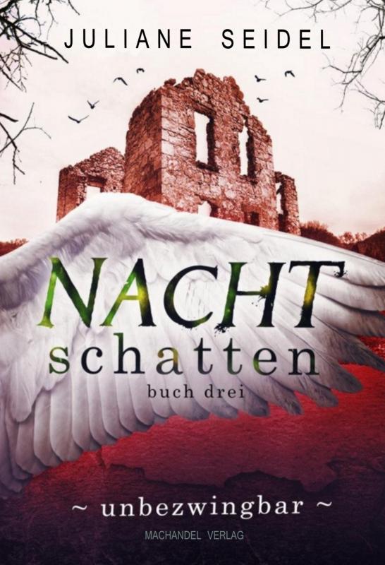 Cover-Bild Nachtschatten 3 : Unbezwingbar