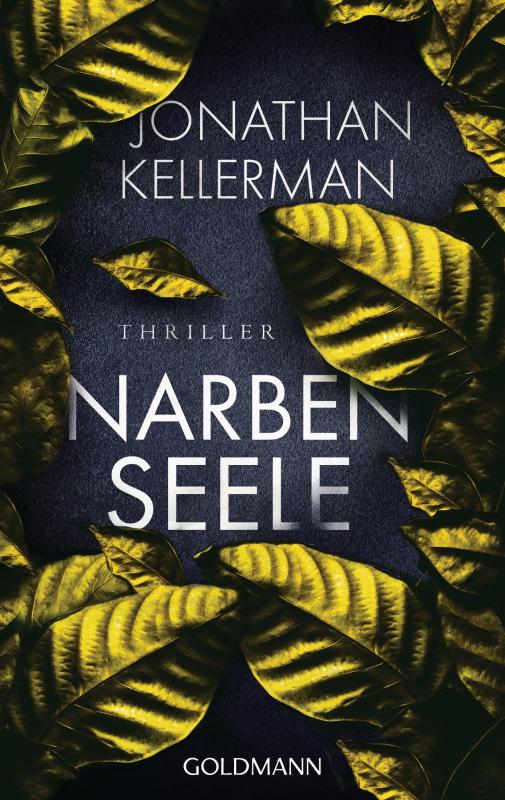 Cover-Bild Narbenseele