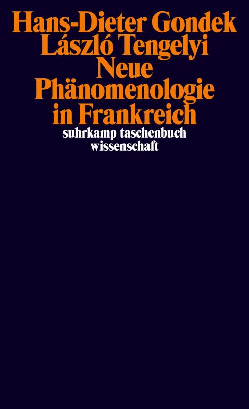 Cover-Bild Neue Phänomenologie in Frankreich