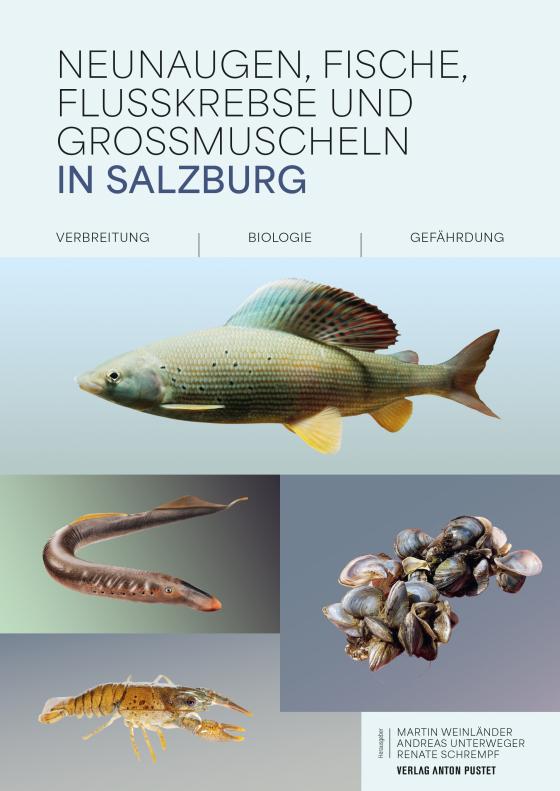 Cover-Bild Neunaugen, Fische, Flusskrebse und Großmuscheln in Salzburg