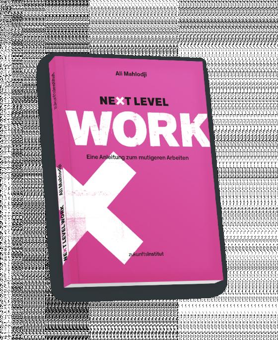 Cover-Bild Next Level Work