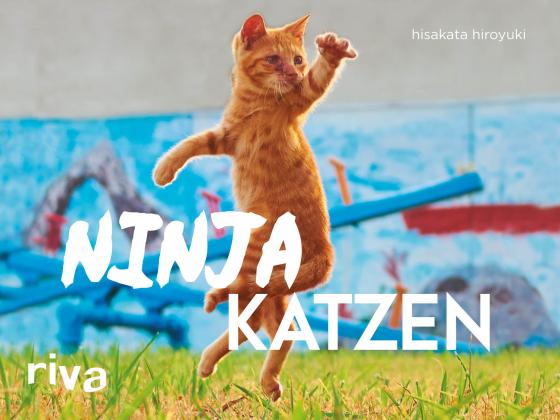 Cover-Bild Ninjakatzen