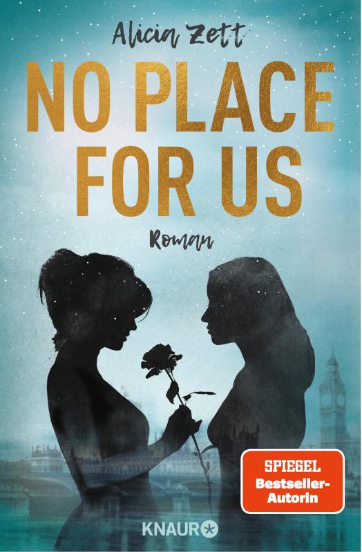 Cover-Bild No Place For Us