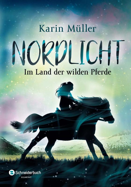 Cover-Bild Nordlicht, Band 01