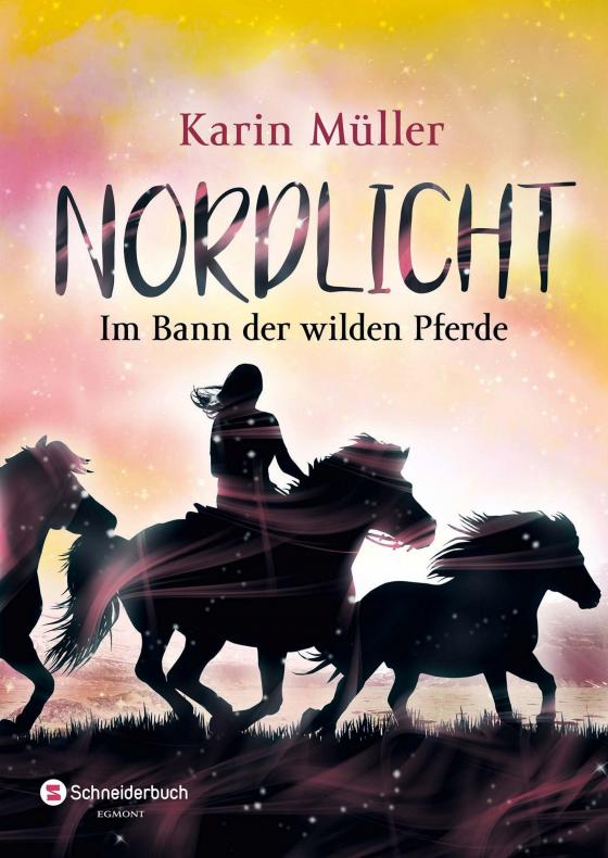 Cover-Bild Nordlicht, Band 02