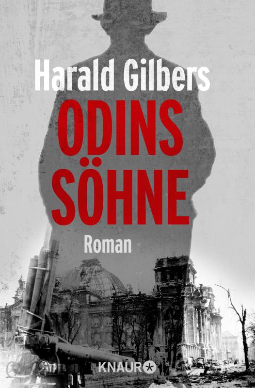 Cover-Bild Odins Söhne