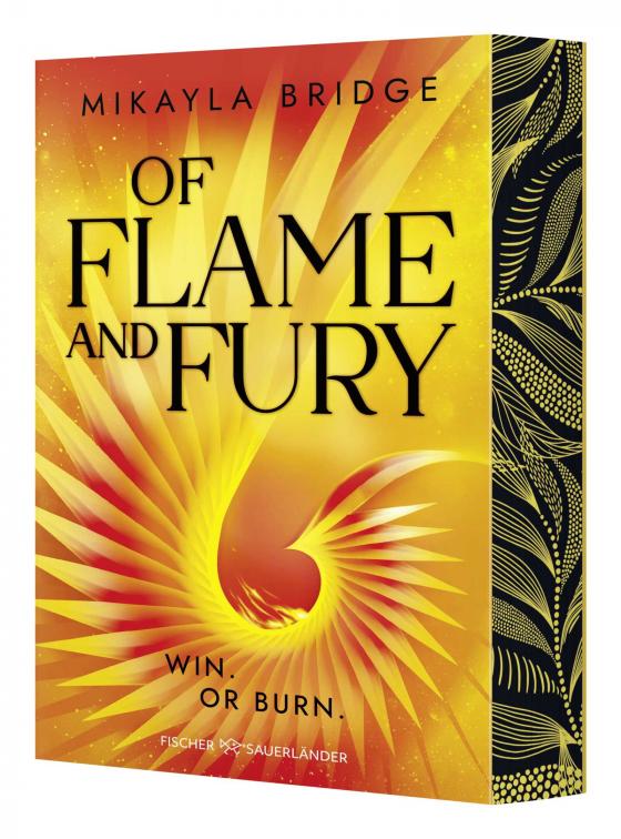 Cover-Bild Of Flame and Fury