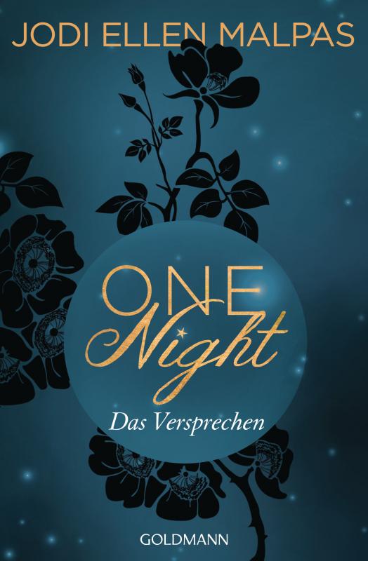 Cover-Bild One Night - Das Versprechen