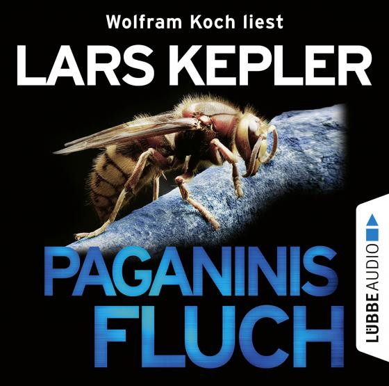 Cover-Bild Paganinis Fluch