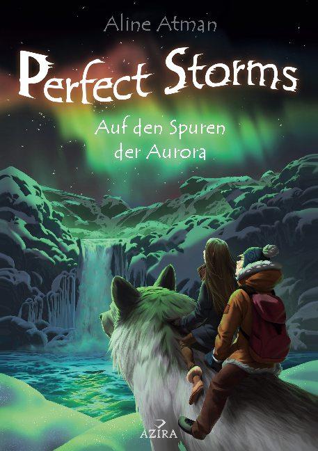 Cover-Bild Perfect Storms