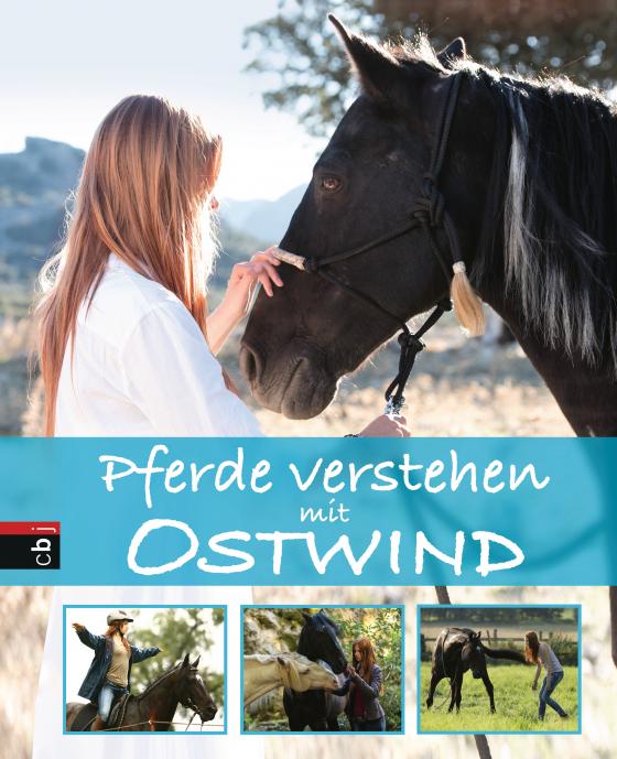 Cover-Bild Pferde verstehen mit Ostwind