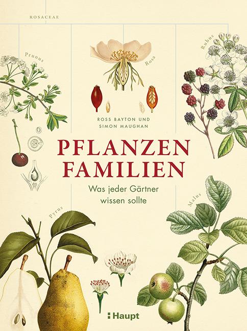 Cover-Bild Pflanzenfamilien