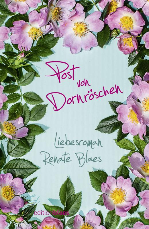 Cover-Bild Post von Dornröschen