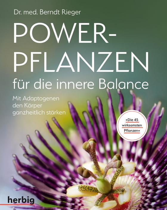 Cover-Bild Powerpflanzen für die innere Balance