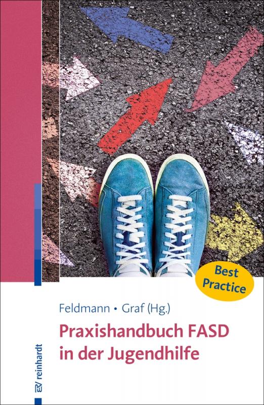 Cover-Bild Praxishandbuch FASD in der Jugendhilfe