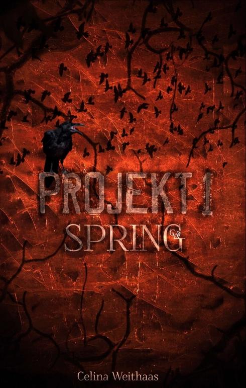 Cover-Bild Projekt I