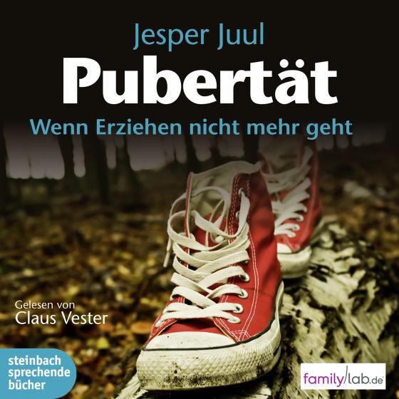 Cover-Bild Pubertät