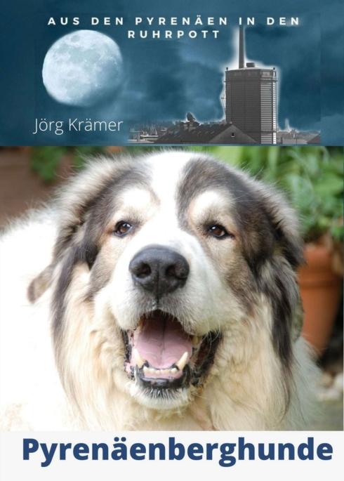 Cover-Bild Pyrenäenberghund - Aus den Pyrenäen in den Ruhrpott