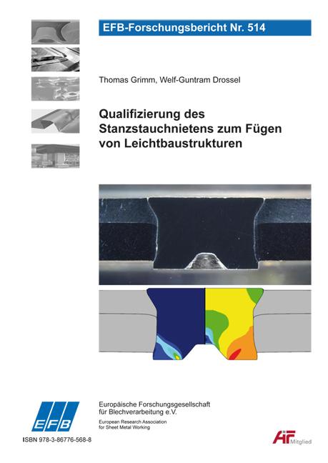 Cover-Bild Qualifizierung des Stanzstauchnietens zum Fügen von Leichtbaustrukturen