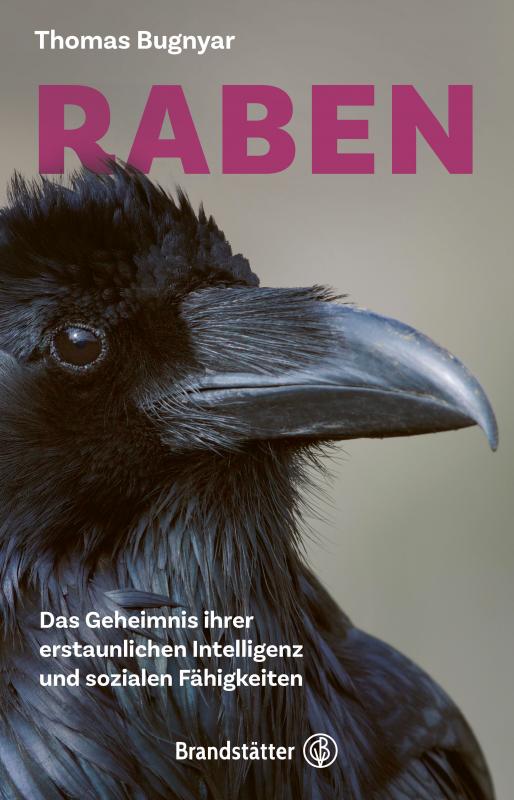 Cover-Bild Raben
