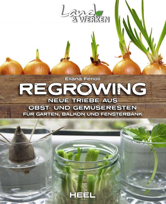 Cover-Bild Regrowing – Neue Triebe aus Obst- und Gemüseresten