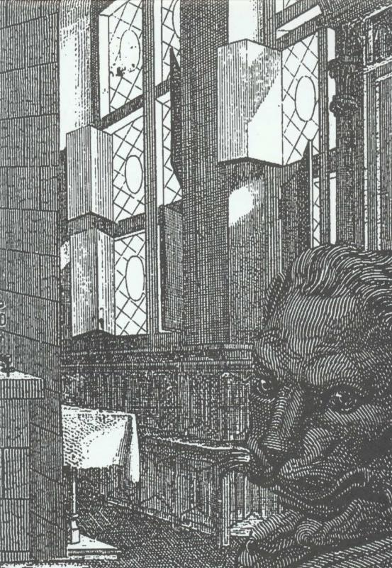 Cover-Bild Rekonvaleszenz