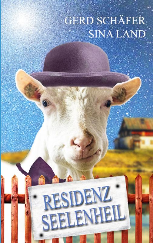 Cover-Bild Residenz Seelenheil