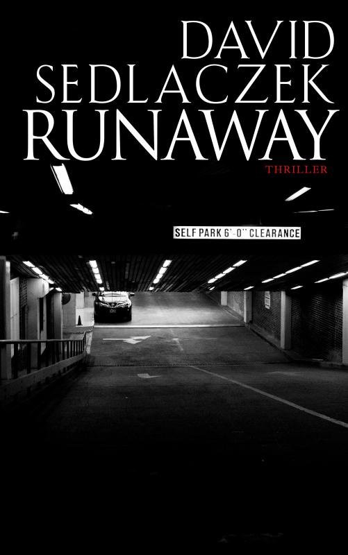 Cover-Bild Runaway