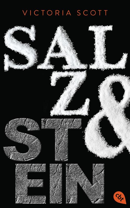 Cover-Bild Salz & Stein